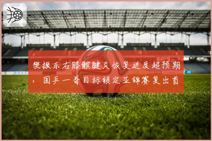 樊振东右膝髌腱炎恢复进度超预期，国乒一哥目标锁定亚锦赛复出首秀